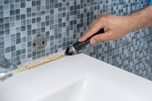 Best Toxic Mold Removal  in Elton, LA